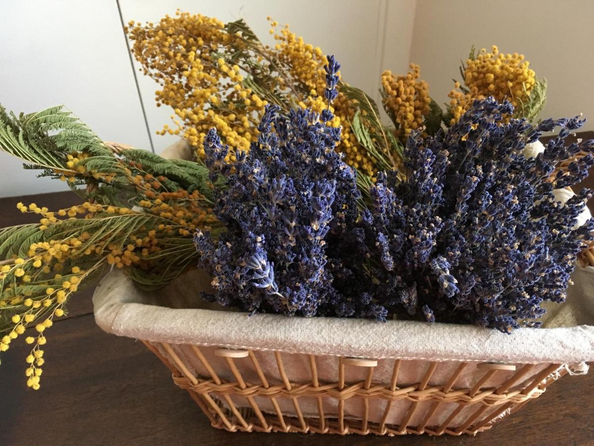 Mas Halcyon Provence Bed & Breakfast Avignon Exterior photo